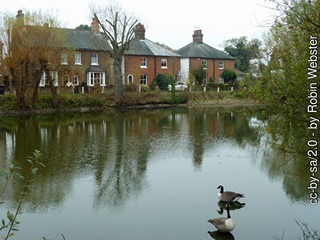 Ashtead Pond